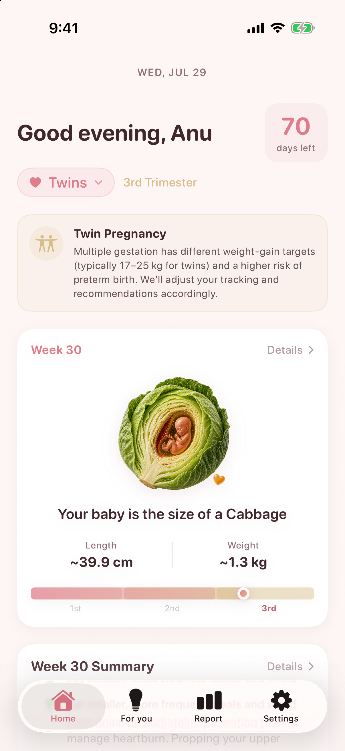 Nestory pregnancy home screen in English