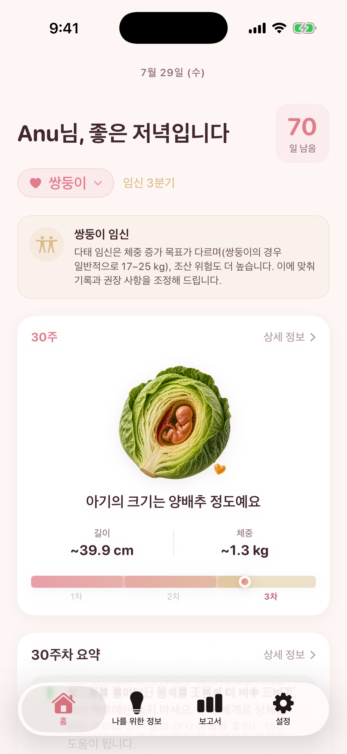 한국어로 표시된 Nestory 임신 홈 화면