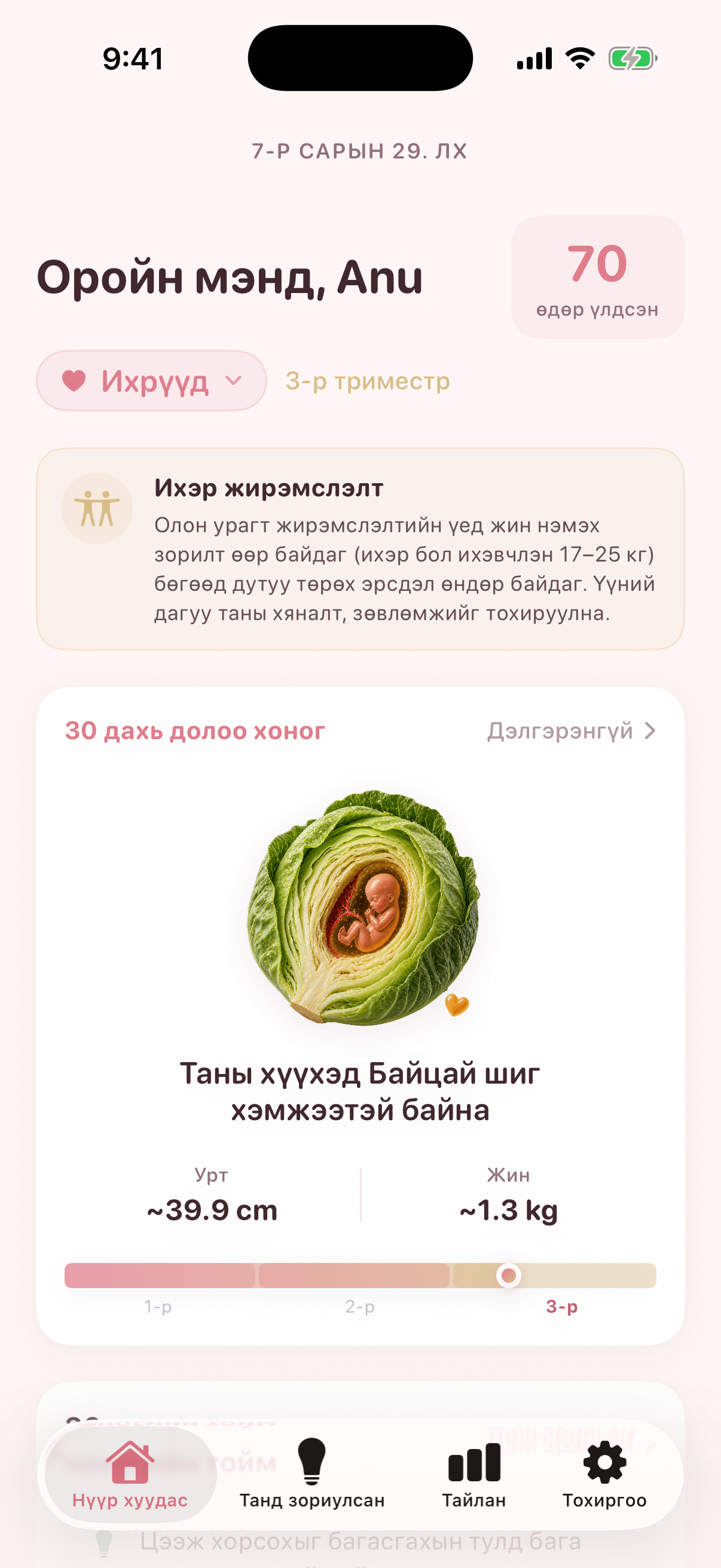 Монгол хэл дээрх Nestory жирэмсний нүүр дэлгэц