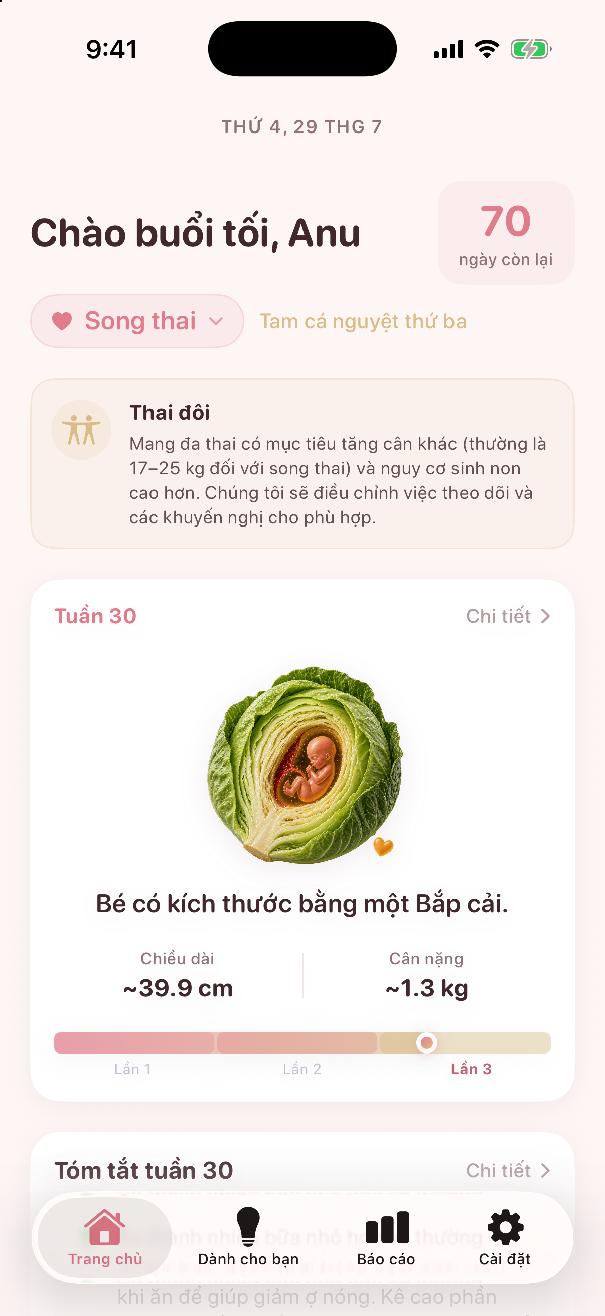 Màn hình thai kỳ của Nestory bằng tiếng Việt